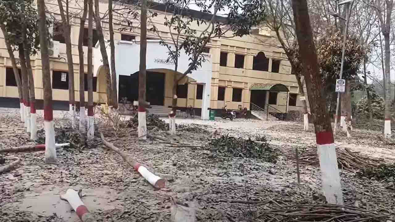 বেরোবিতে গাছ কাটা নিয়ে বিতর্ক ও খতিবের নাম ব্যবহারের অভিযোগ