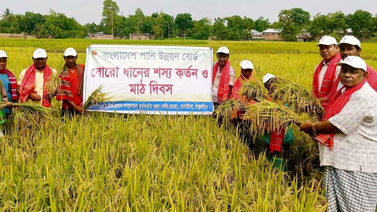 আধুনিক সেচ ব্যবস্থাপনায় বীরগঞ্জে রেকর্ড ধান উৎপাদন