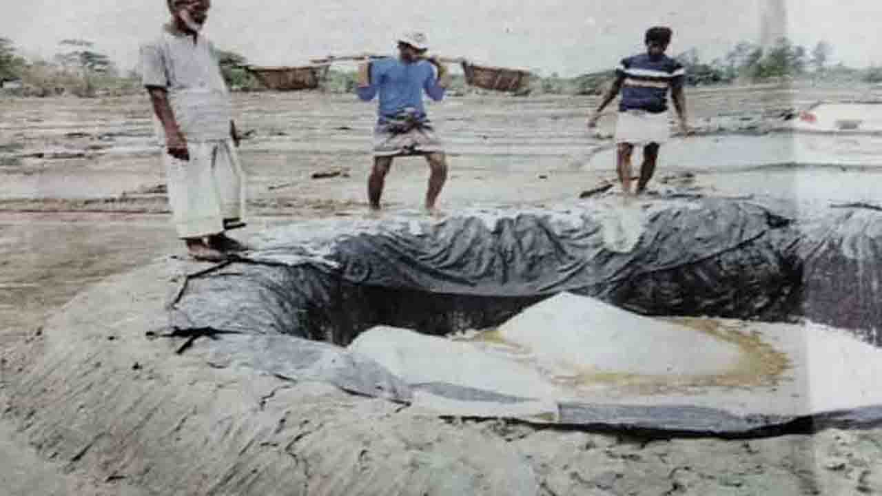 কুতুবদিয়ায় লবণের কেজি ৪ টাকা, লোকসানে চাষিরা