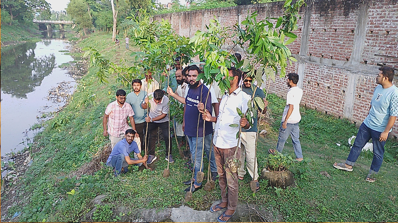 বৃক্ষরোপণ কর্মসূচি: বিএন‌পি নেতা সজীবের ব্যক্তিগত উদ্যোগ