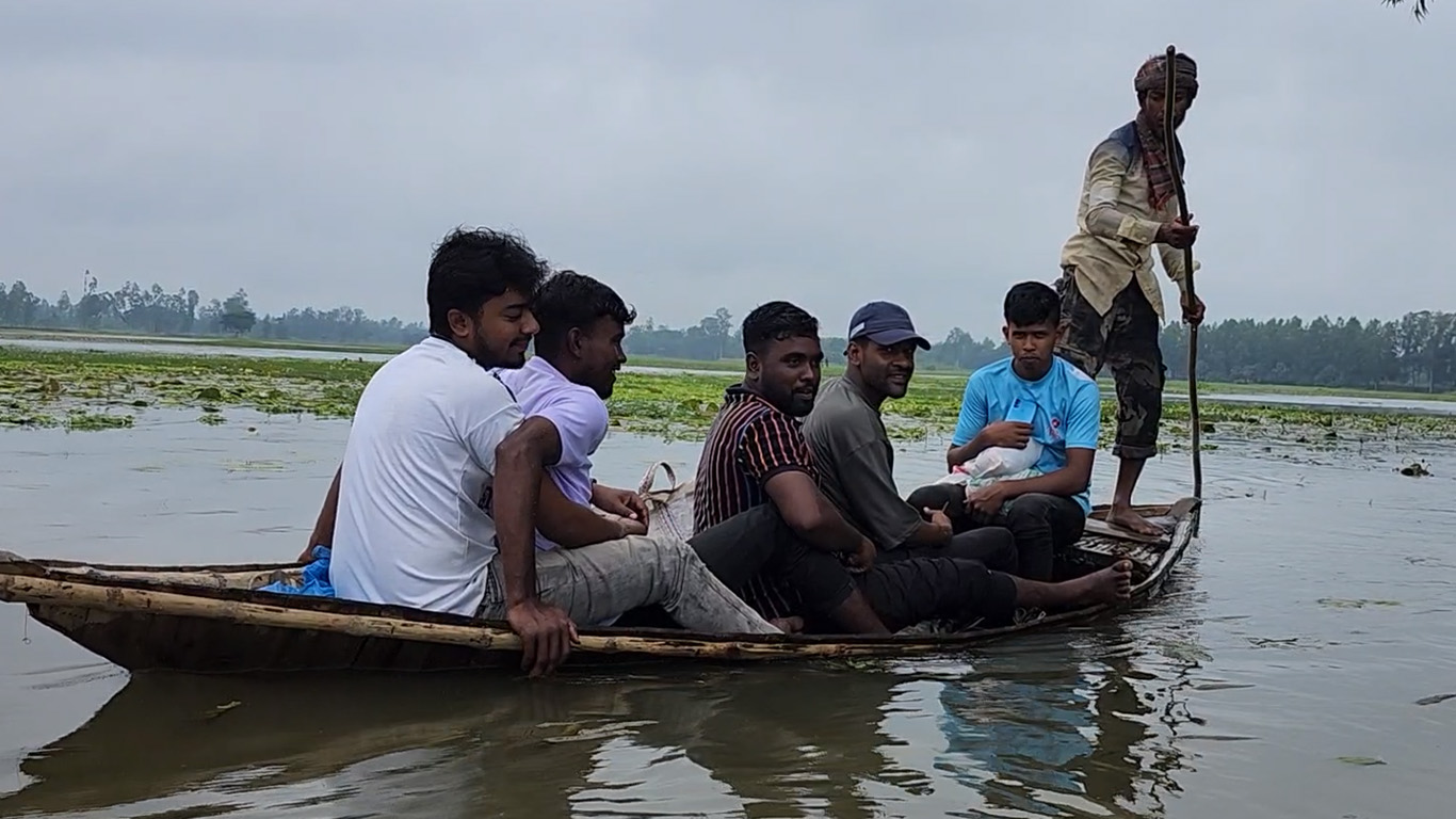 বিরামপুরে শাপলা বিল: প্রকৃতিপ্রেমীদের নতুন ঠিকানা
