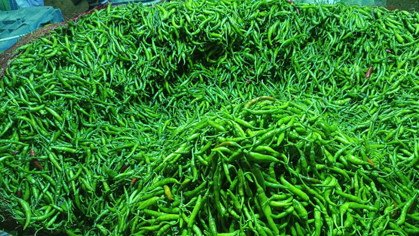 কাঁচামরিচের কেজি ৩০০ টাকা ছাড়াল