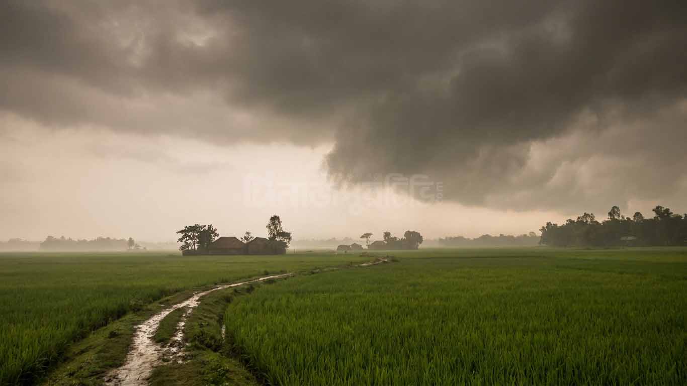 বেশ কিছু এলাকায় বজ্রসহ বৃষ্টি হতে পারে, থাকতে পারে ভ্যাপসা গরম