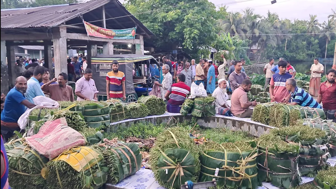 বাগেরহাটের হাটে কোটি টাকার পান, লোকসানে চাষিরা