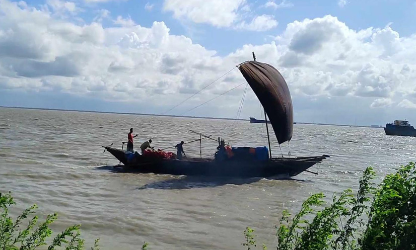 পদ্মা-মেঘনায় ভয়াবহ দূষণ: ইলিশের আকালে অস্থির বাজার