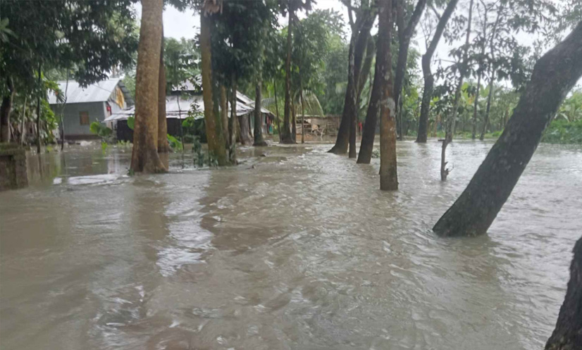 ঝালকাঠির নিম্নাঞ্চলে পানি, বন্যার শঙ্কায় স্থানীয়রা