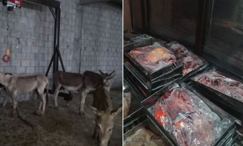 কসাইখানা থেকে ১০০০ কেজি গাধার মাংস জব্দ