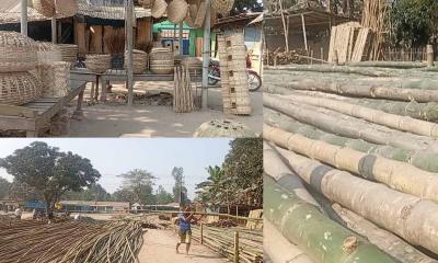 বীরগঞ্জে বাঁশের কাজে কদর কমেছে, হারিয়ে যাচ্ছে গ্রামীণ ঐতিহ্য
