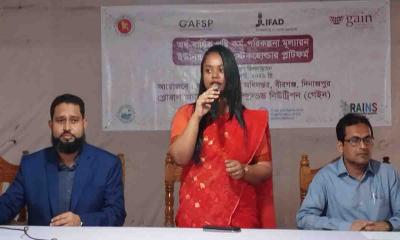 বীরগঞ্জে বার্ষিক পুষ্টি কর্ম-পরিকল্পনা কর্মশালা অনুষ্ঠিত