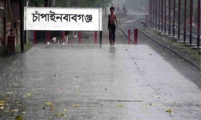 চাঁপাইনবাবগঞ্জে হঠাৎ বৃষ্টিতে আমের মুকুলে ক্ষতির আশঙ্কা