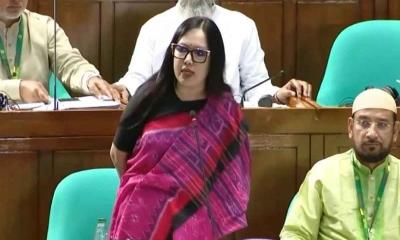 ‘আমার এলাকার হাসপাতাল নিজেই রোগীর মতো’: রুমিন ফারহানা