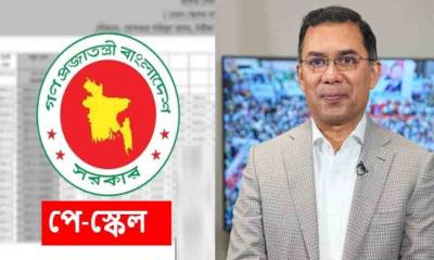 পে স্কেল বাস্তবায়ন কবে, যা আছে বিএনপির ইশতেহারে