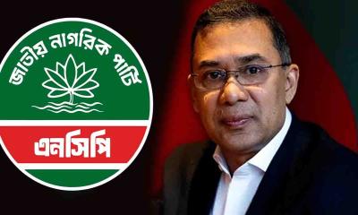 তারেক রহমানের বিরুদ্ধে লড়বেন এনসিপির যে নেতা