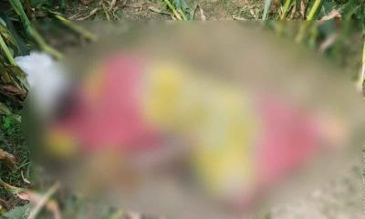 দিনাজপুরে বাড়ির পাশে ভুট্টা ক্ষেতে মিলল গৃহবধূর লা‍‍`শ