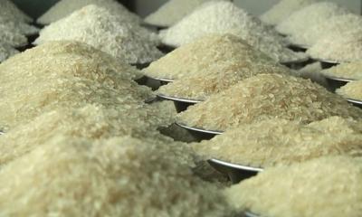 হিলি বন্দর দিয়ে চাল আমদানি, কেজিতে কমল ৫-৬ টাকা