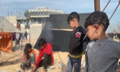 যুদ্ধের বিভীষিকার মাঝে গাজায় উচ্চ মাধ্যমিক পরীক্ষা: স্বপ্ন পূরণের অদম্য লড়াই