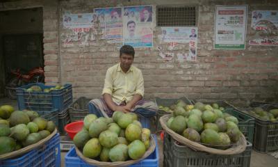 মৌসুমী ফল বিক্রি করে দিনে আয় ১০ হাজার টাকা
