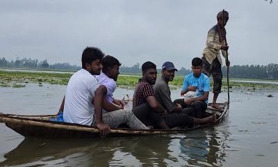 বিরামপুরে শাপলা বিল: প্রকৃতিপ্রেমীদের নতুন ঠিকানা