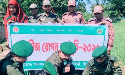 নবাবগঞ্জে আনসার ও ভিডিপির উদ্যোগে ১ হাজার তাল বীজ রোপণ