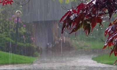 তাপমাত্রা বাড়বে, দেশজুড়ে ঝরবে ভারি বর্ষণ