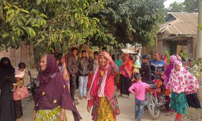 বীরগঞ্জে ট্রাকচাপায় স্কুলছাত্র নিহত, আহত আরও এক শিশু