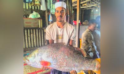 ২৭ কেজির কোরাল মাছ ধরা পড়ল, নিলামে বিক্রি