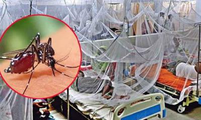 ডেঙ্গুতে নতুন প্রাণহানি: হাসপাতালে আরও ২৮০ জন ভর্তি