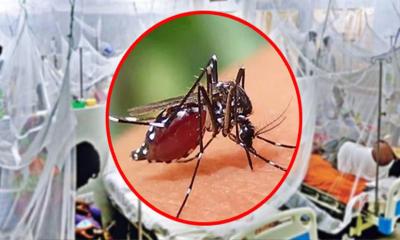 ডেঙ্গুতে আরও ৩ মৃত্যু, হাসপাতালে ভর্তি ৪০৮ নতুন রোগী