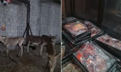 পাকিস্তানে গোপন কসাইখানা থেকে ১০০০ কেজি গাধার মাংস জব্দ