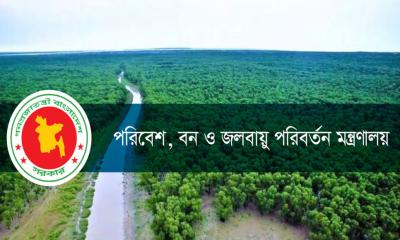 ১ বছরে ৫ হাজার একর বনভূমি উদ্ধার, বিপন্ন প্রাণী রক্ষায় ২৯৩ অভিযান