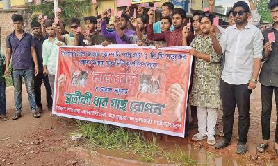 গায়েবানা জানাজার পর এবার সেই সড়কে ধানের চারা রোপণ