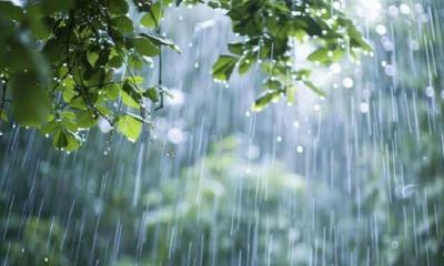 সারাদেশে বৃষ্টির আভাস, লঘুচাপ সৃষ্টির সম্ভাবনা