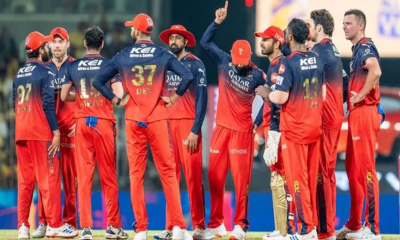 আইপিএল বিসিসিআইয়ের ‘সোনার ডিম পাড়া হাঁস’, আয় চমকে দেবে!