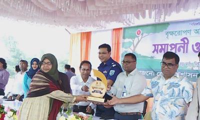 দিনাজপুরে বৃক্ষমেলার সমাপনী: পরিবেশ রক্ষায় সবুজ অঙ্গীকার