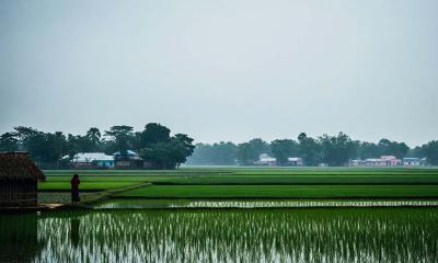 দিনাজপুর জেলার ১৩ উপজেলায় আগামীকাল আবহাওয়া আপডেট