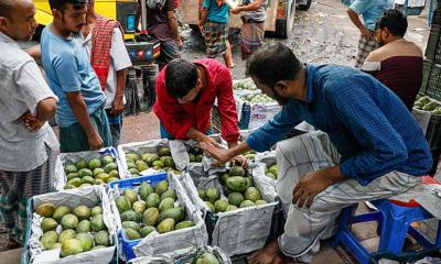 শেষ সময়ে বাজারে কোন আম পাওয়া যাচ্ছে, দাম কেমন