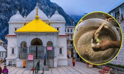 গোমূত্রসহ ‘পঞ্চগব্য’ পান বাধ্যতামূলক করলো ভারতের গঙ্গোত্রী মন্দির
