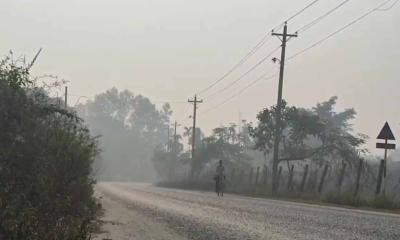 পঞ্চগড়ে মাঝারি কেটে বইছে মৃদু শৈত্য প্রবাহ