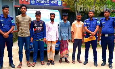 ঘোড়াঘাটে গরু চোর চক্রের ৫ সদস্য গ্রেপ্তার