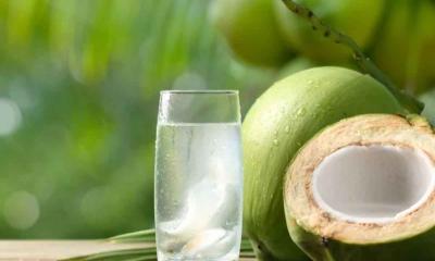 ডাব খাওয়ার আগে জেনে নিন ৫টি জরুরি সতর্কতা