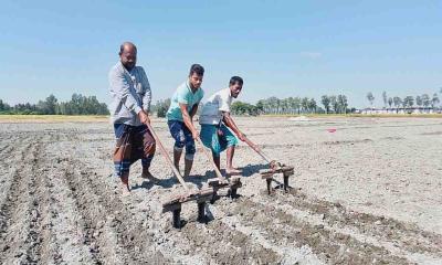 বিরলে আলু বপন কর্মসূচির উদ্বোধন: ‍‍`এবার আবাদে খরচ কম পড়বে‍‍`