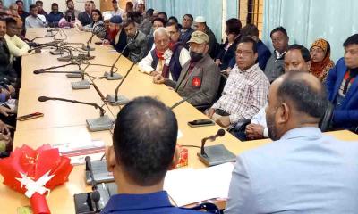 শহীদ বুদ্ধিজীবী দিবস ও বিজয় মেলা উদযাপনে বিরলে প্রস্তুতি সভা