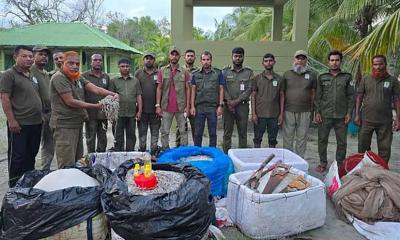 সুন্দরবনে বিষপ্রয়োগ ঠেকাতে গিয়ে হামলার শিকার হচ্ছেন বনরক্ষীরা