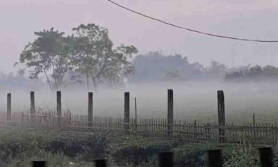 আজও ১৪ ডিগ্রির ঘরে তেঁতুলিয়ার তাপমাত্রা