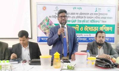 সাঘাটায় উত্তম কৃষি চর্চা বাস্তবায়নে কৃষক ও উদ্যোক্তাদের প্রশিক্ষণ অনুষ্ঠিত
