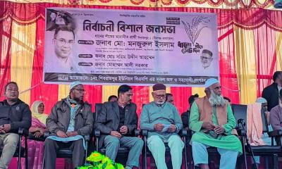 বীরগঞ্জে ধানের শীষের জনসভা: দলীয় ঐক্য জোরদারের আহ্বান মনজুরুল ইসলামের