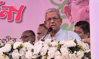 দেশে সুন্দর, সুষ্ঠু ও সহনশীল রাজনীতি চাই: মির্জা ফখরুল