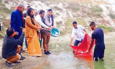 বীরগঞ্জে পোনা মাছ অবমুক্ত করলেন ইউএনও সুমা খাতুন