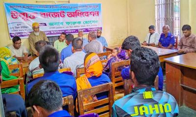 ডিজিটাল ইউনিয়ন গড়ার লক্ষ্যে বিরল ইউপির নতুন বাজেট