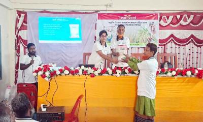 পঞ্চগড়ে টেকসই খাদ্য উৎপাদনে কৃষকদের কর্মশালা